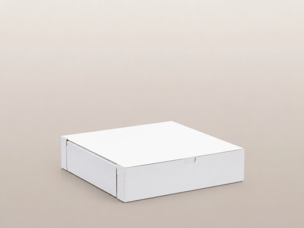 Easy Lock Cake Box 10X10X2.5 IN