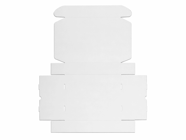 Easy Lock Cake Box 10X10X5 IN