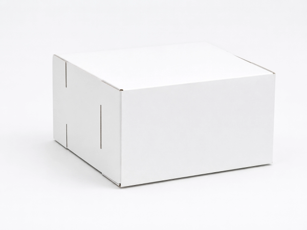 Easy Lock Cake Box 12X12X6 IN