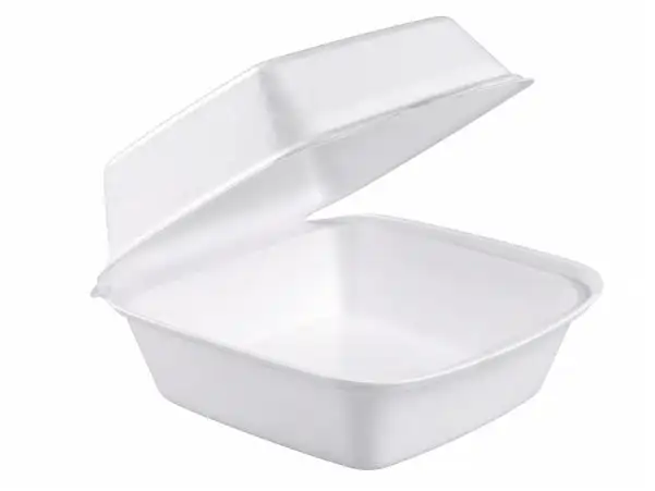 Sandwich Take-Out Container Hinged Large (LG)