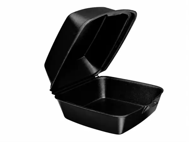 Gen Pak snap-it sandwich container