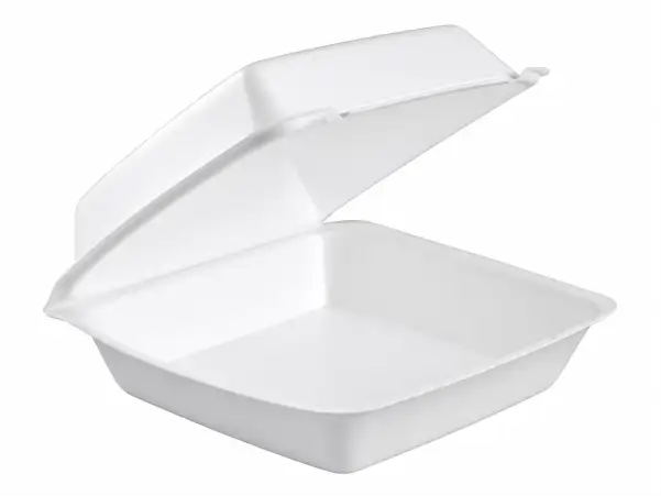 Take-Out Container Hinged