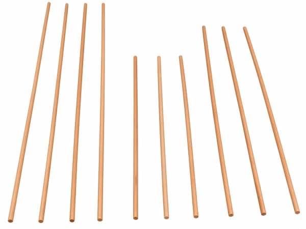 Skewer 12 IN