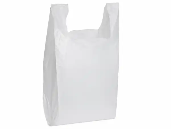 Bag 11.5X6.5X21 IN 1/6