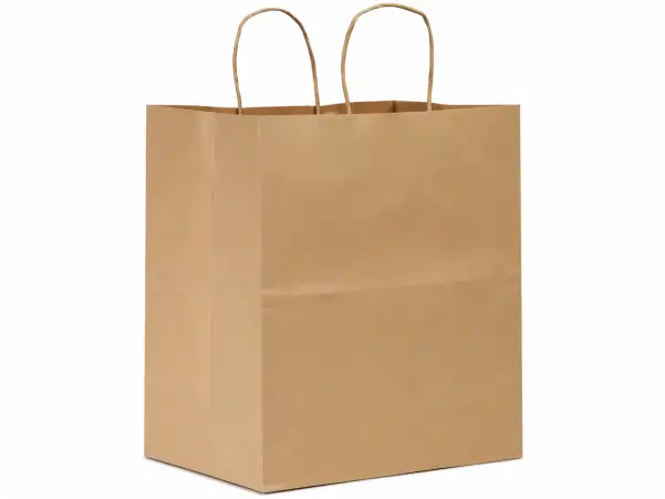 Shopper Bag 12X9X15.75 IN