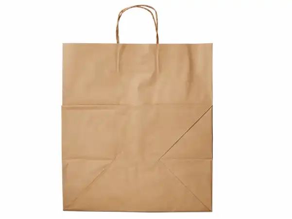 Shopper Bag 14X10X15.25 IN
