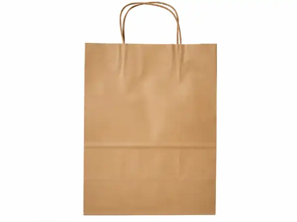 Shopper Bag 8X4.5X10.25 IN