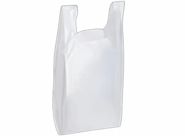 Bag 10X5X18 IN