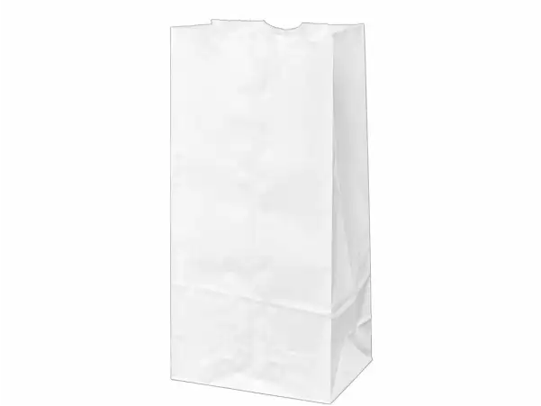 Bag 6.89X4.53X13.78 IN