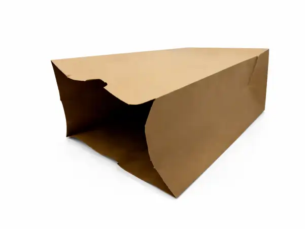 Bag 1/6 BBL 12X7X17 IN