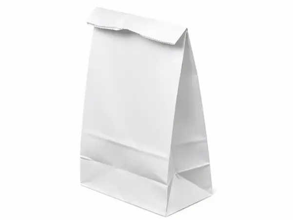 Bag 4.02X2.56X7.99 IN