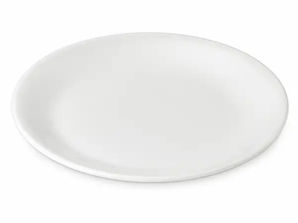 Plate 9 IN